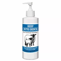 Budget 🧨 Sheep Nutri-Drench® 8 Oz. 😍