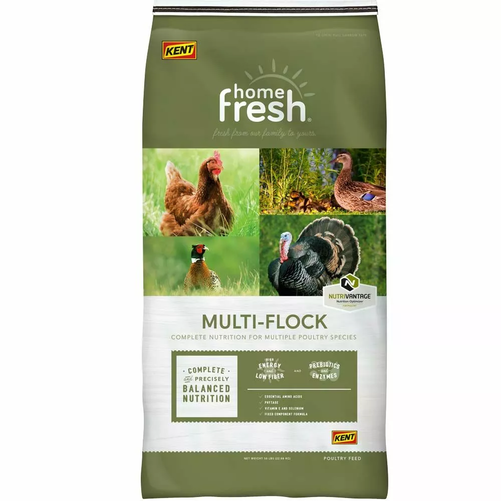Cheap π Kent Nutrition Home Fresh® Multi-Flock Turkey Starter 50 Lbs. β 3 Cheap π Kent Nutrition Home Fresh® Multi-Flock Turkey Starter 50 Lbs. β