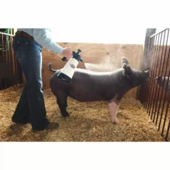 Cheapest 🔔 Weaver Leather Heavy-Duty Pump Sprayer 🌟 -Livestock Sales 0025608 1 1