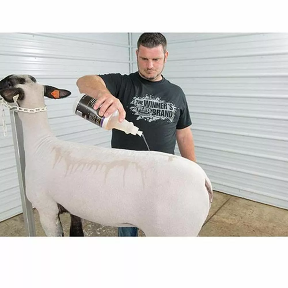 Top 10 π₯ Weaver Leather Livestock Whitening Shampoo Qt. β 4 Top 10 π₯ Weaver Leather Livestock Whitening Shampoo Qt. β - Image 2