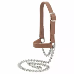 Best Pirce 🎉 Weaver Leather Brahma Webb® Goat Halter Large ⭐