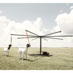 Best reviews of ✔️ Weaver Leather Sheep & Goat Training Halter ⌛ -Livestock Sales 0025620 2 1