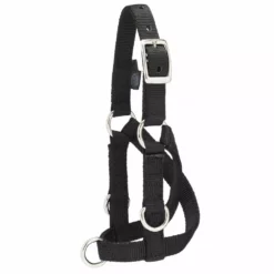 Best reviews of ✔️ Weaver Leather Sheep & Goat Training Halter ⌛