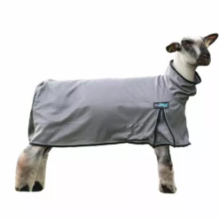 Deals 🤩 Weaver Leather ProCool™ Sheep Blanket With Reflective Piping Medium 💯