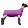 Best reviews of π Weaver Leather Spandex Sheep Tube Large π 1 Best reviews of π Weaver Leather Spandex Sheep Tube Large π -Livestock Sales 0025634 2