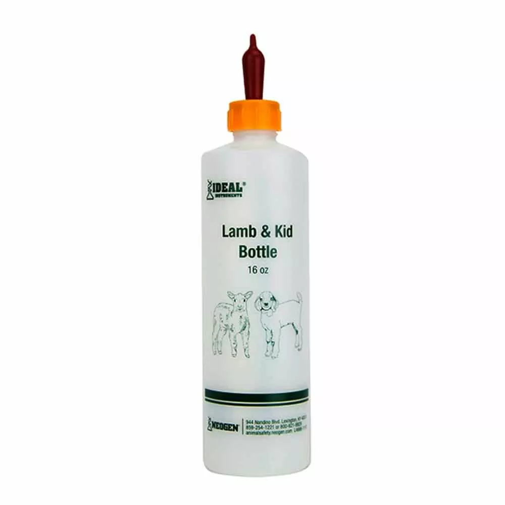 Flash Sale π Ideal Lamb & Kid Feeding Bottle π 2 Flash Sale π Ideal Lamb & Kid Feeding Bottle π