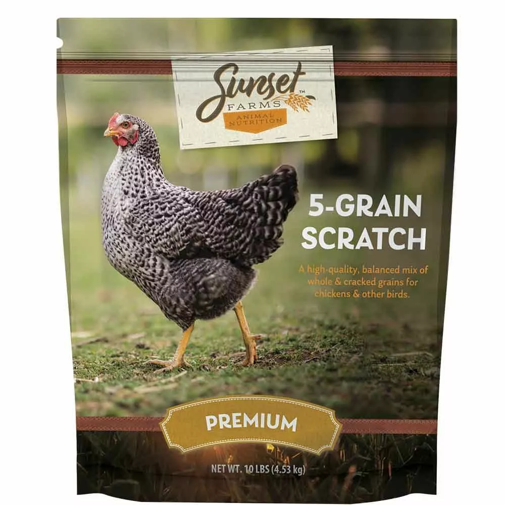 Outlet ⭐ Sunset Farms™ 5 Grain Scratch 10 Lb. ✨ 3 Outlet ⭐ Sunset Farms™ 5 Grain Scratch 10 Lb. ✨