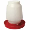 Promo π― Little Giant Complete Poultry Fount 1 Gallon π 2 Promo π― Little Giant Complete Poultry Fount 1 Gallon π -Livestock Sales 1274085