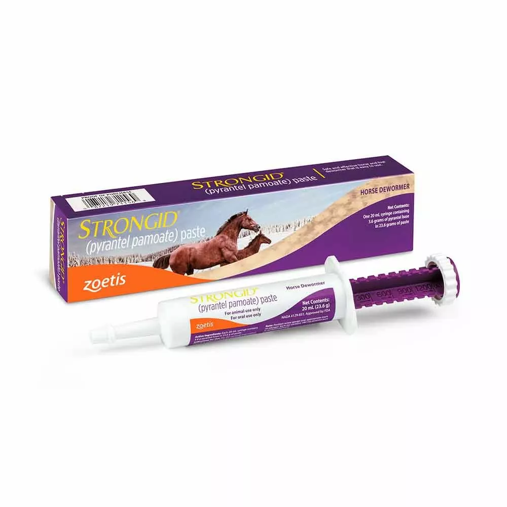 Best Pirce π Zoetis STRONGID® Paste π 3 Best Pirce π Zoetis STRONGID® Paste π