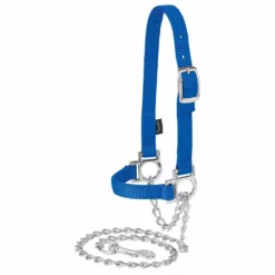 Flash Sale 😉 Weaver Leather Nylon Adjustable Sheep Halter With Chain Lead 😀