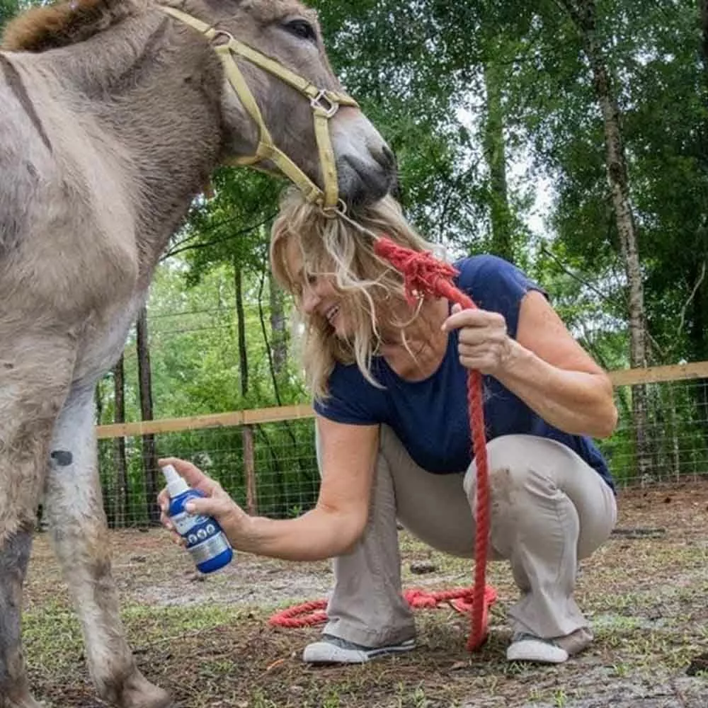 Hot Sale β Vetericyn Plus® Antimicrobial Hydrogel π 5 Hot Sale β Vetericyn Plus® Antimicrobial Hydrogel π - Image 3