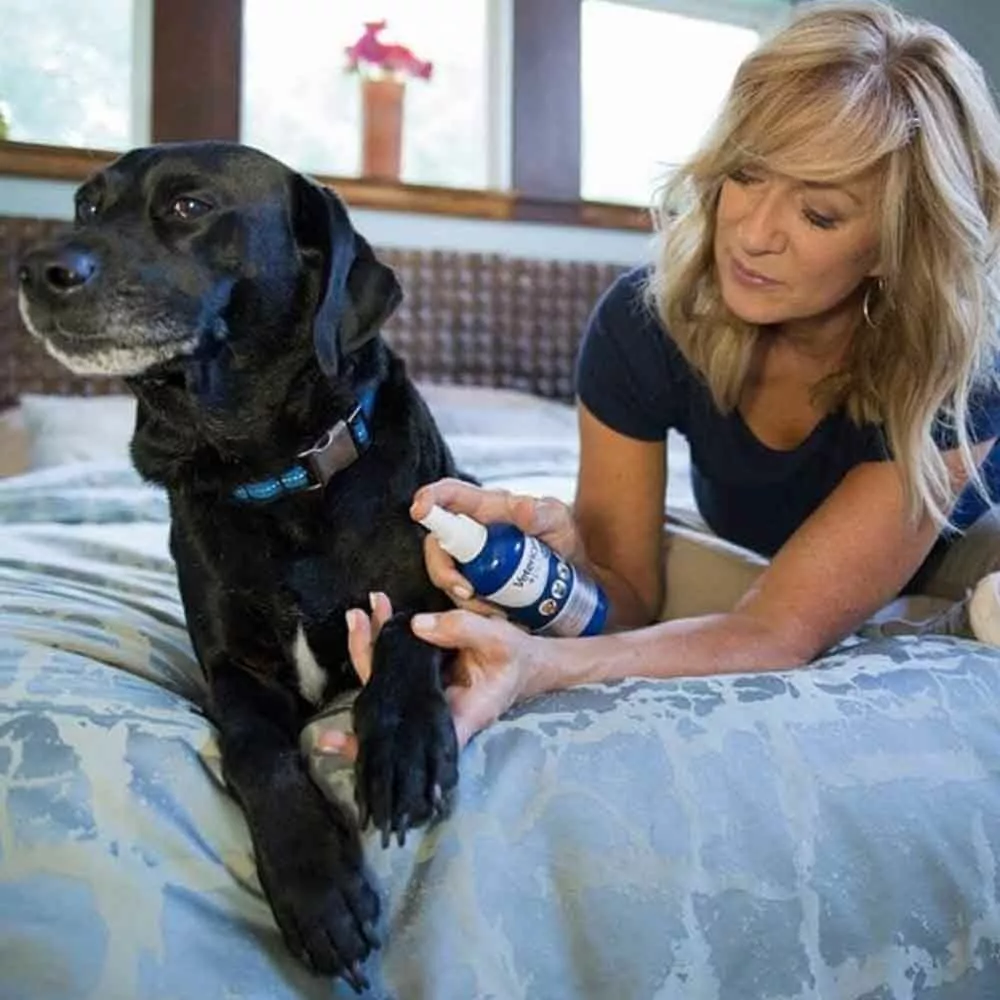 Hot Sale β Vetericyn Plus® Antimicrobial Hydrogel π 7 Hot Sale β Vetericyn Plus® Antimicrobial Hydrogel π - Image 5