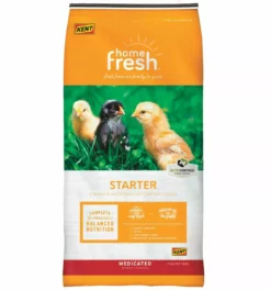 Hot Sale ⌛ Kent Nutrition Home Fresh® Poultry Starter AMP 50 Lbs. ✨