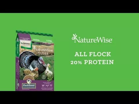 Promo ✔️ Nutrena NatureWise All Flock Poultry Feed 40 Lb. ⭐ 4 Promo ✔️ Nutrena NatureWise All Flock Poultry Feed 40 Lb. ⭐ - Image 2