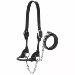 Promo 😉 Weaver Leather Show Halter For Dairy Or Beef ✔️