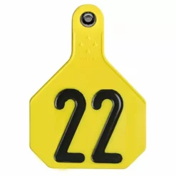 Wholesale 🔔 Y-Tex® 2-Piece Large Yellow Ear Tags 1-25 🛒