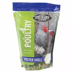 Best Sale 🌟 Country Lane Oyster Shell - 5 Lb. Bag ✨