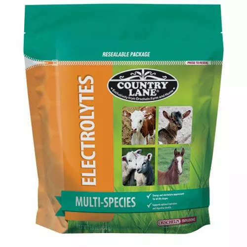 Cheap โ๏ธ Country Lane® Multi-Species Electrolytes ๐ฏ 3 Cheap โ๏ธ Country Lane® Multi-Species Electrolytes ๐ฏ