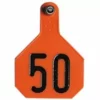 Buy π₯ Y-Tex® 2-Piece Large Orange Ear Tags 26-50 π 2 Buy π₯ Y-Tex® 2-Piece Large Orange Ear Tags 26-50 π -Livestock Sales img9653028