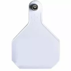 Top 10 ✔️ Y-Tex® All-American® 2-Piece Blank Ear Tags 😍