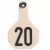 Outlet π₯ Y-Tex® 2-Piece Medium White Ear Tags 1-25 π 1 Outlet π₯ Y-Tex® 2-Piece Medium White Ear Tags 1-25 π -Livestock Sales img9653035