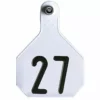 Best reviews of π Y-Tex 2-Piece Large White Ear Tags 26-50 π 1 Best reviews of π Y-Tex 2-Piece Large White Ear Tags 26-50 π -Livestock Sales img9653054