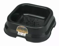 Brand new ❤️ Little Giant 10 Qt Mineral Salt Black Pan 🛒