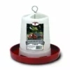 New 🤩 Little Giant Plastic Hanging Poultry Feeder - 3 Lb. 🎉 -Livestock Sales img9656967