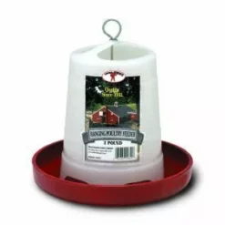 New 🤩 Little Giant Plastic Hanging Poultry Feeder - 3 Lb. 🎉