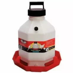 Coupon 🛒 Little Giant Poultry Fount-5 Gallon 👍