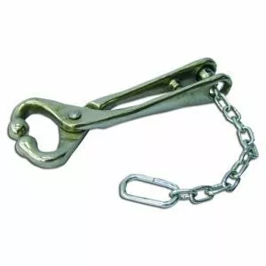 New π Ideal® Bull Lead W/ Chain π 3 New π Ideal® Bull Lead W/ Chain π